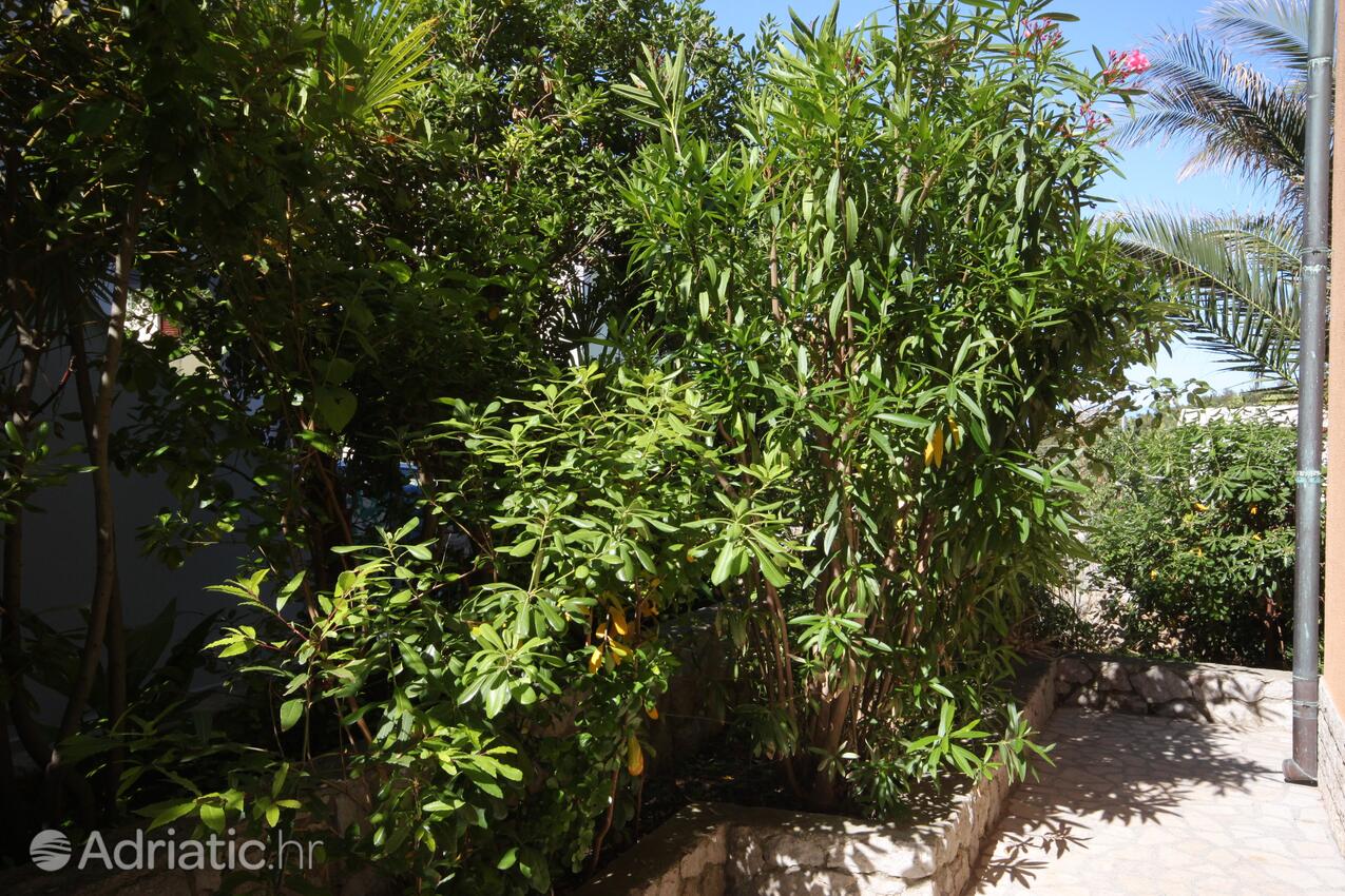 A-7965-b - Private accommodation - Apartments with a parking space Mali Lošinj, Lošinj