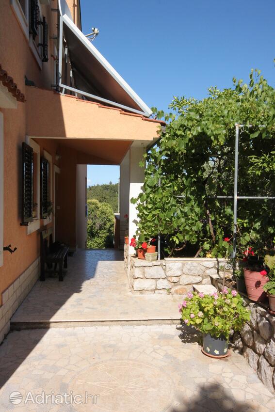 Courtyard - Apartments with a parking space Mali Lošinj, Lošinj