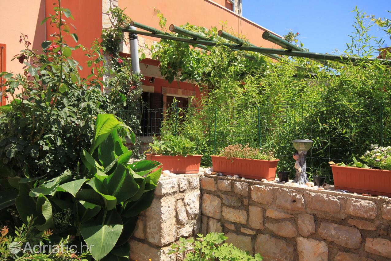 A-8010-a - Privatni smještaj - Apartmani s parkingom Ćunski, Lošinj