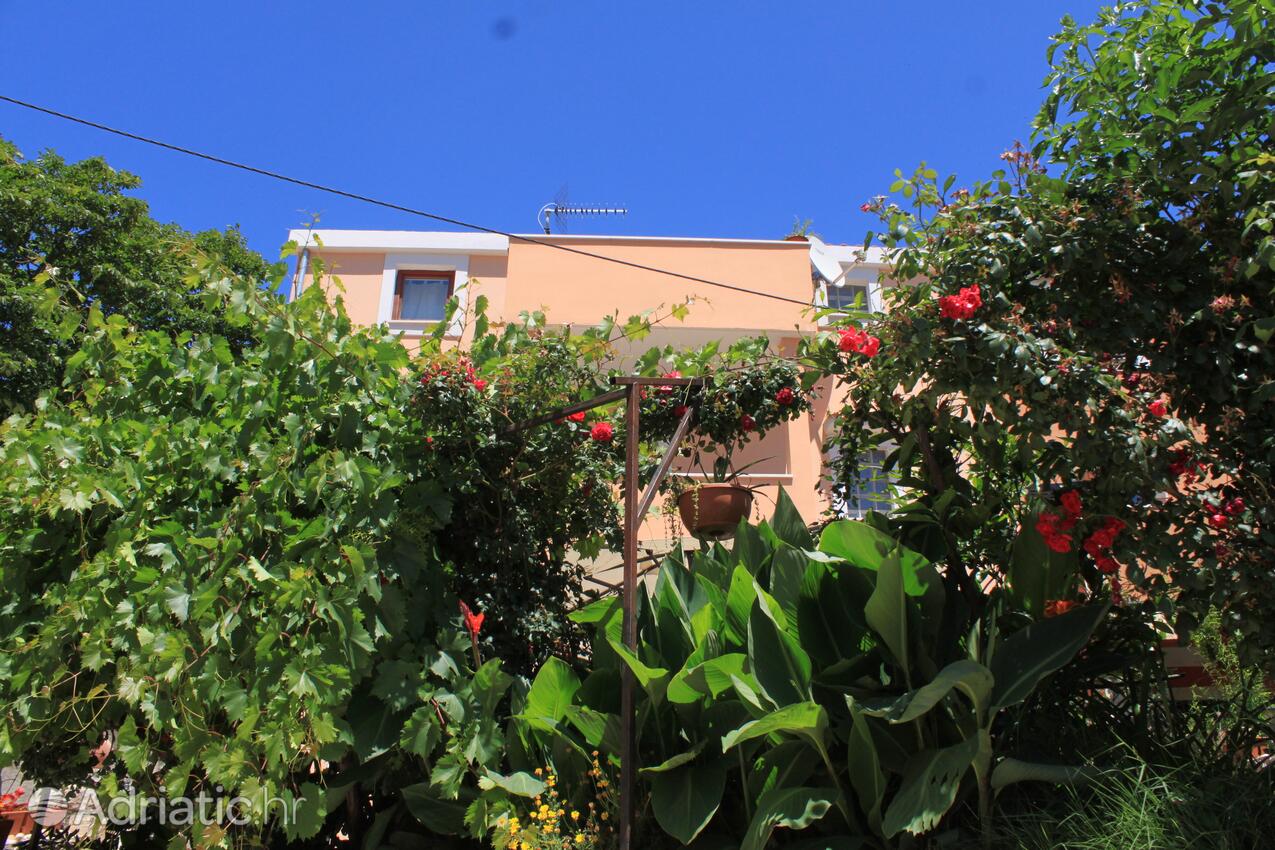 Dvorište - Apartmani s parkingom Ćunski, Lošinj
