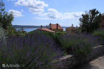 Holiday house with a parking space Nerezine, Lošinj - 8016