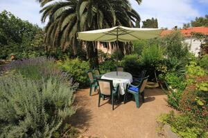 One bedroom apartment Veli Lošinj One bedroom apartment Veli Lošinj, Lošinj (A-8029-a)