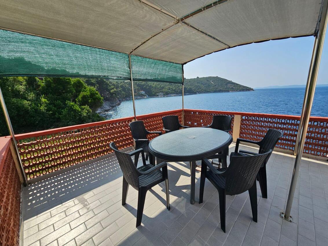 Apartmaji ob morju Savar, Dugi otok - 8079