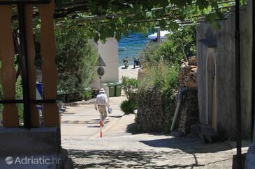 Apartmanok a tenger mellett Valun, Cres - 8081