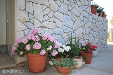 Апартаменты с парковкой Пунта Крижа - Punta križa, Црес - Cres - 8082