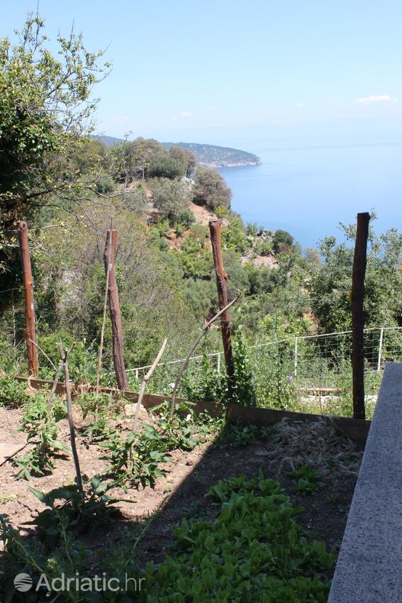 Verft - Leiligheter med internett Beli, Cres