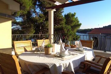 Appartamenti accanto al mare Verunić, Isola Lunga - Dugi otok - 8103