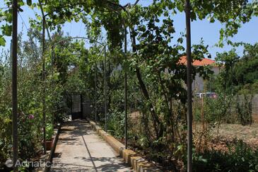 Apartmány u moře Verunić, Dugi otok - 8104