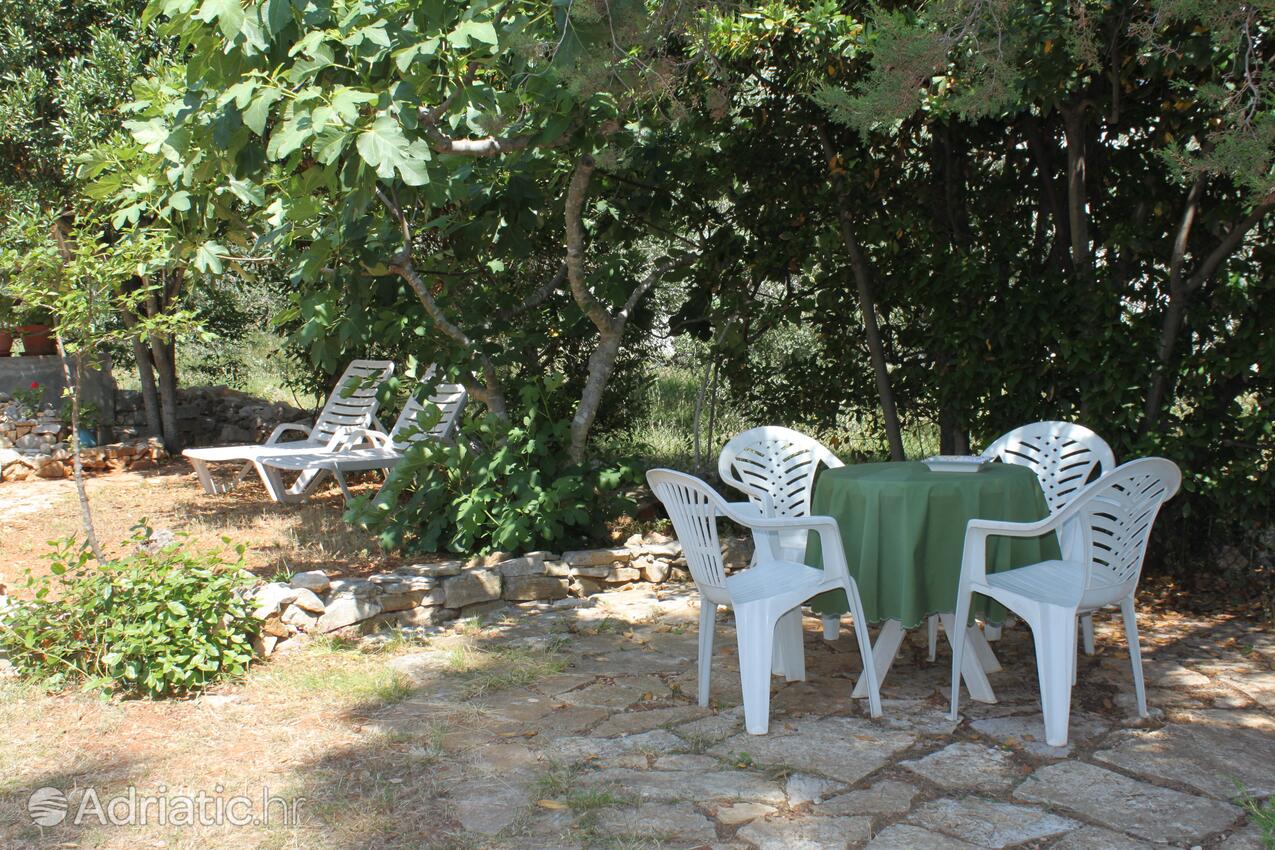 Giardino - Casa vacanze accanto al mare Verunić, Isola Lunga - Dugi otok