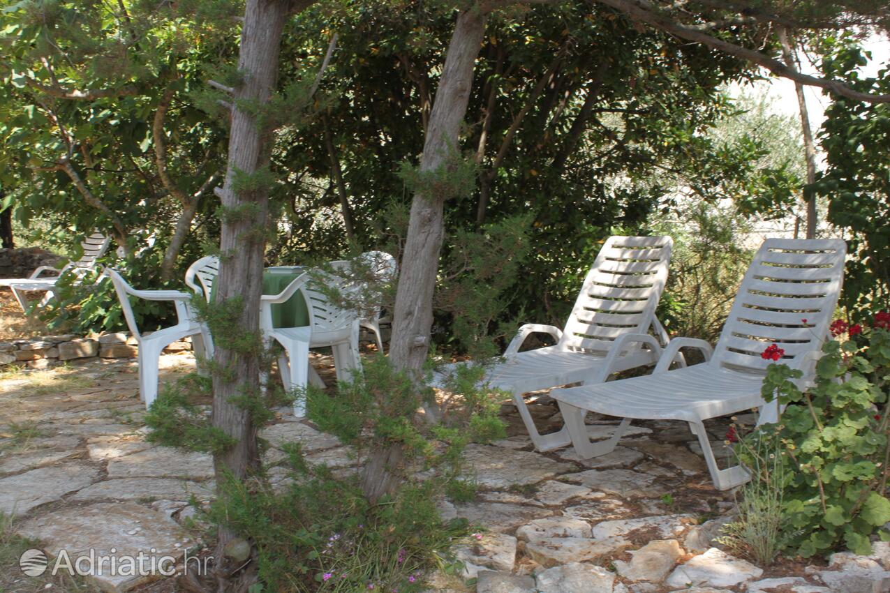 Giardino - Casa vacanze accanto al mare Verunić, Isola Lunga - Dugi otok