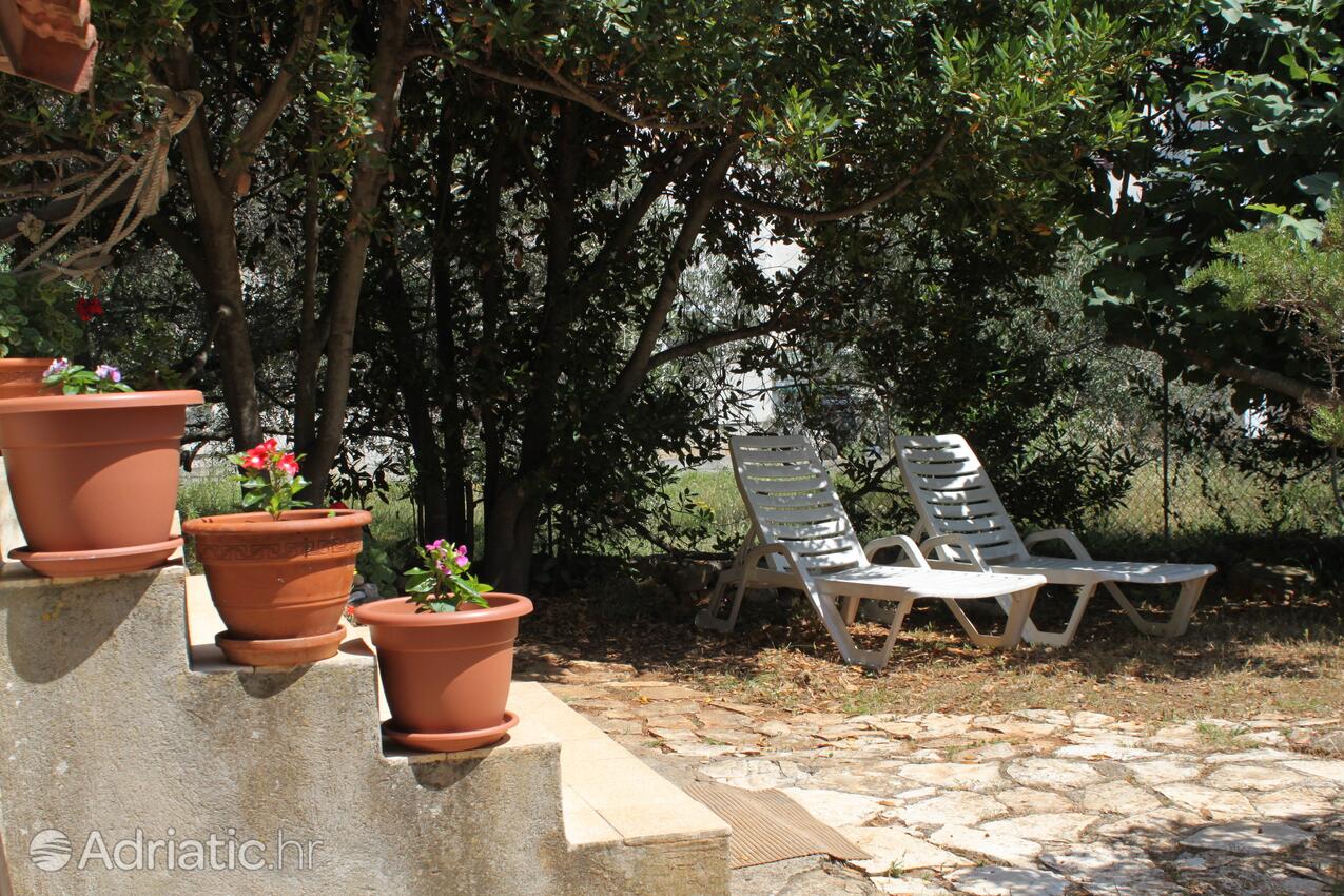 Giardino - Casa vacanze accanto al mare Verunić, Isola Lunga - Dugi otok