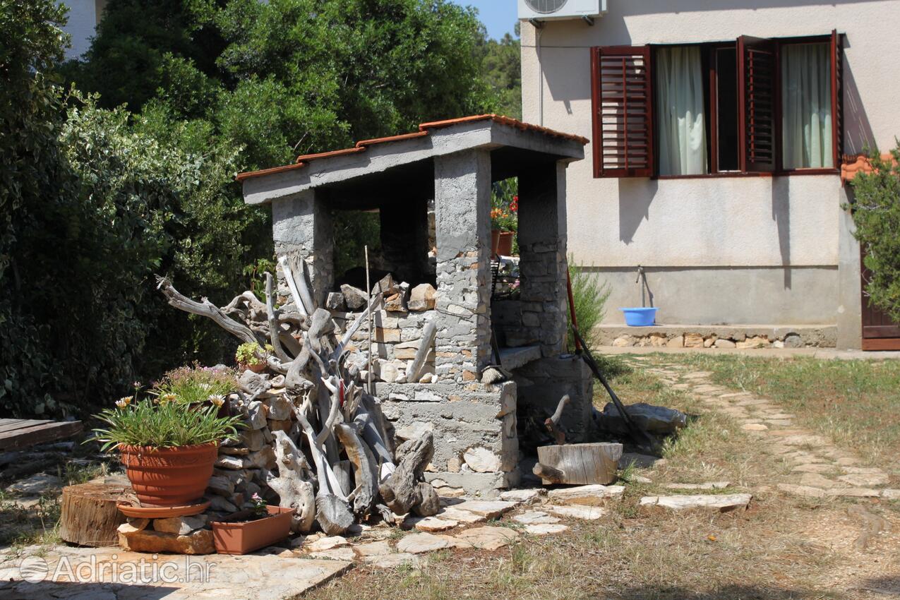 Giardino - Casa vacanze accanto al mare Verunić, Isola Lunga - Dugi otok