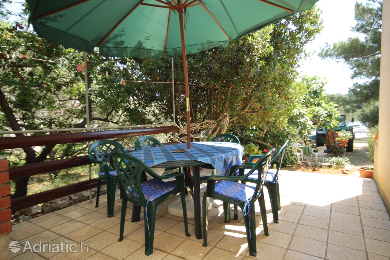 K-8126 - Alloggi privati - Casa vacanze accanto al mare Verunić, Isola Lunga - Dugi otok