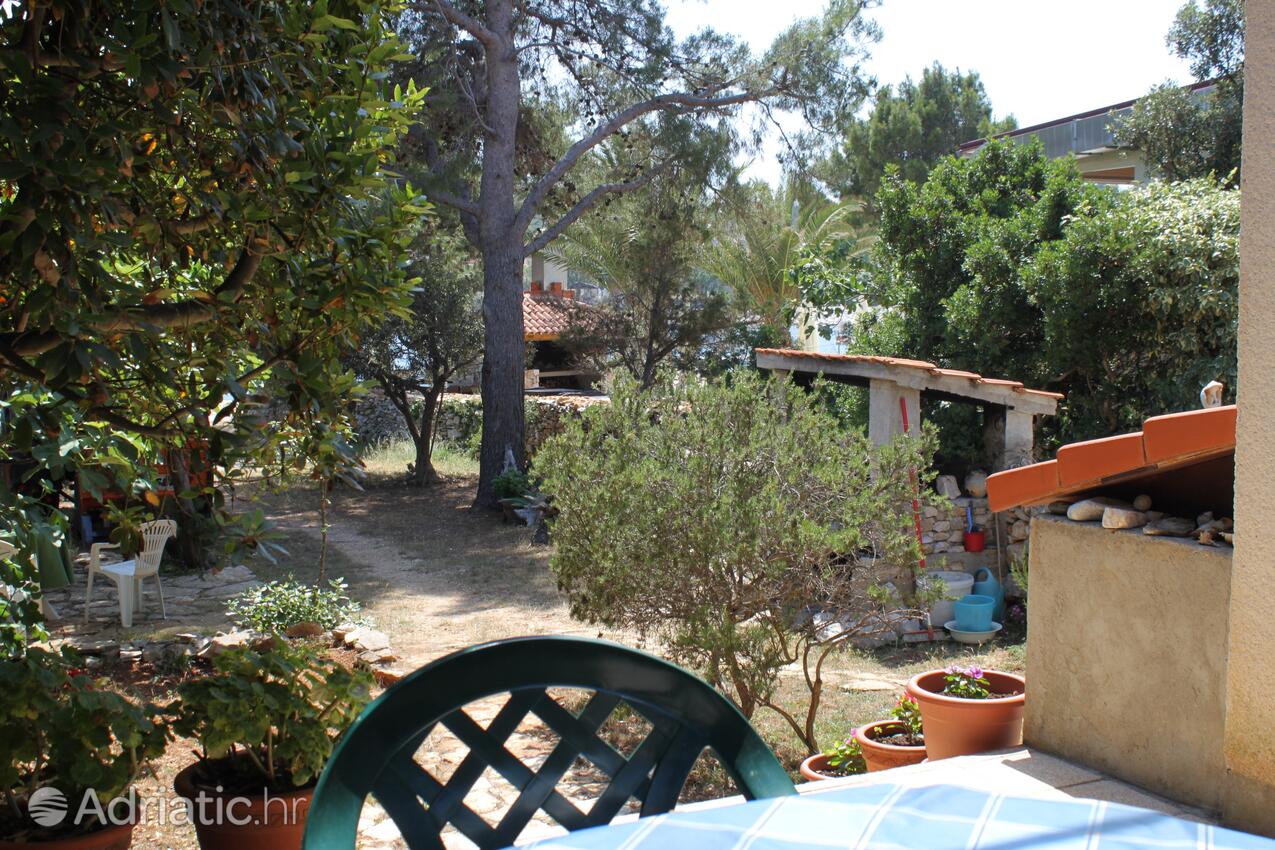 K-8126 - Alloggi privati - Casa vacanze accanto al mare Verunić, Isola Lunga - Dugi otok