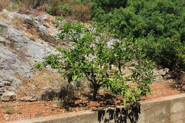 Apartments by the sea Zaglav, Dugi otok - 8145