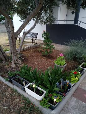 Ferienwohnungen mit Parkplatz Kraj (Pasman) - 8213