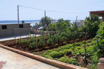 Ferienwohnungen am Meer Banj (Pasman) - 8242