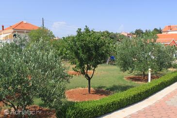 Apartmanok és szobák parkolóhellyel Susica, Ugljan - 8265