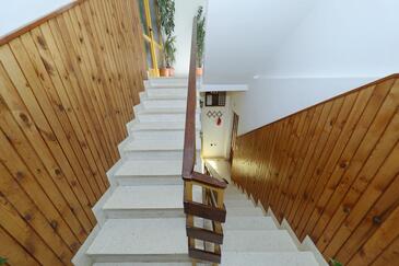 Apartamenty nad morzem Tkon, Pasman - 8302