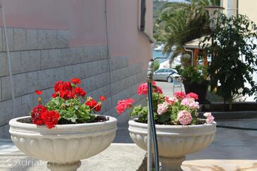 Apartamente lângă mare Kukljica, Ugljan - 8316