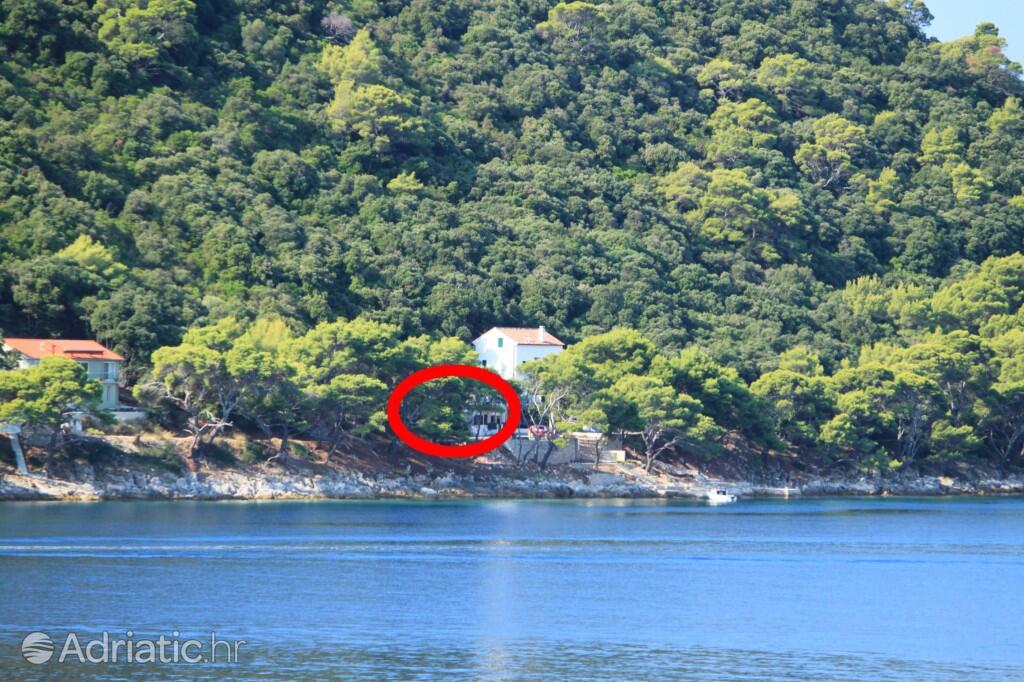 Lejligheder ved havet Ubli, Lastovo - 8353