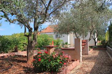 Apartmaji ob morju Lukoran, Ugljan - 836 Adriatic.hr