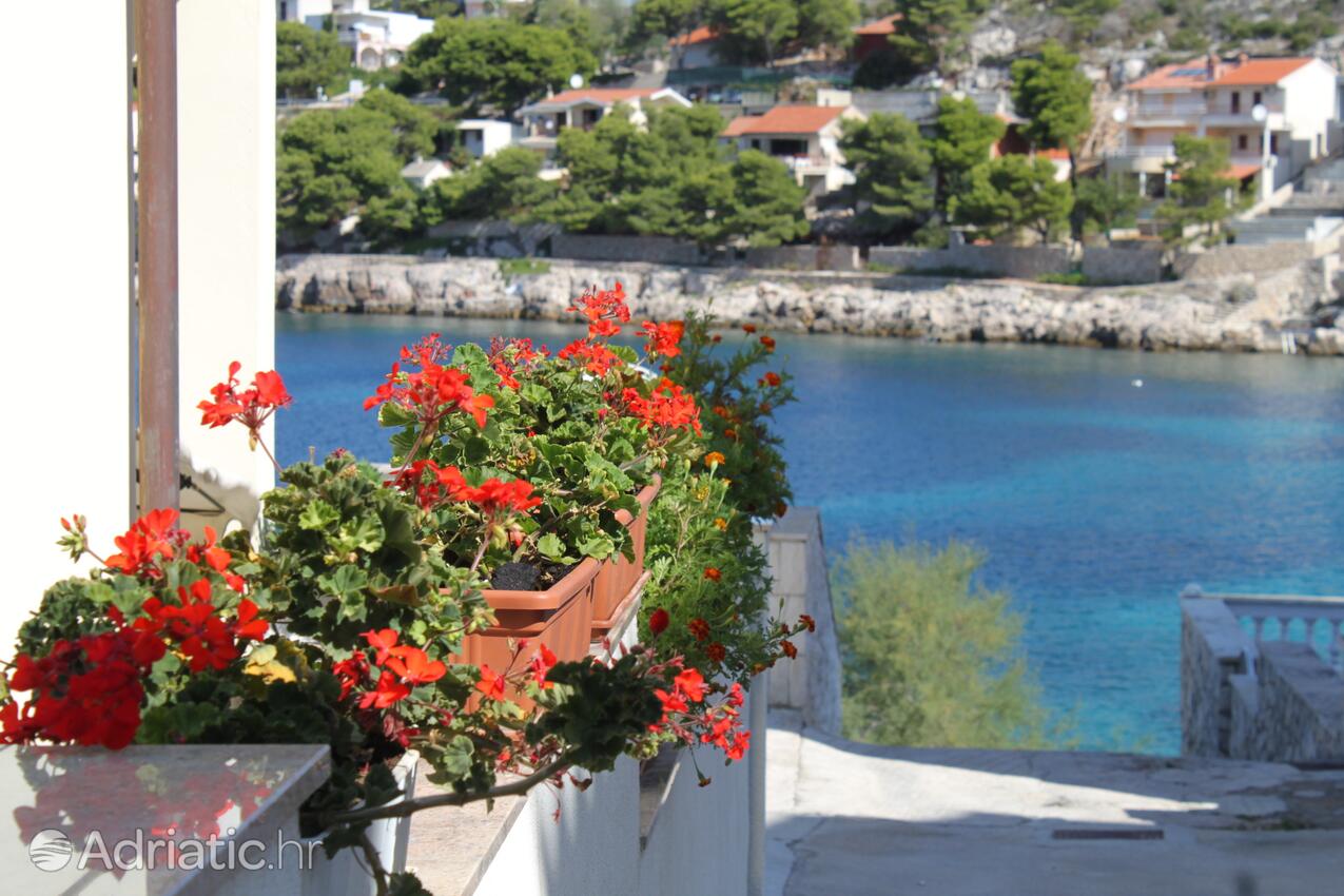 Courtyard - Apartments by the sea Bilo, Primošten