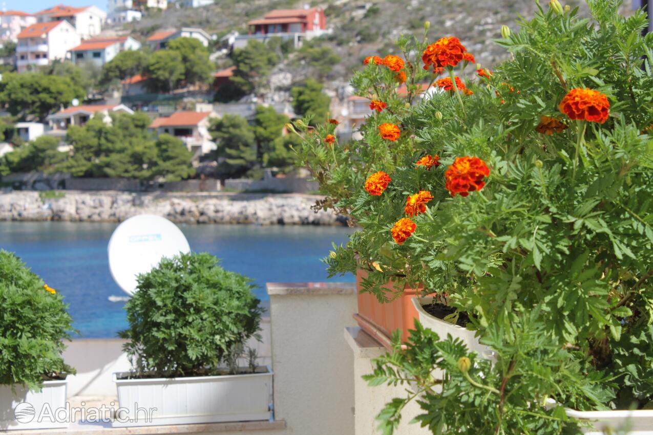 Courtyard - Apartments by the sea Bilo, Primošten