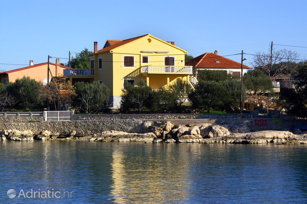 Apartmaji ob morju Ugljan - 846