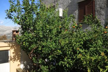 Apartments Cavtat, South Dalmatia