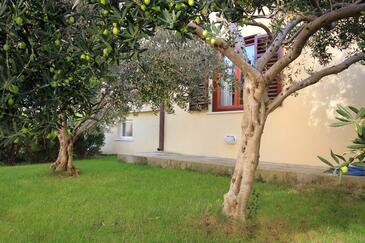 Apartments Cavtat, South Dalmatia