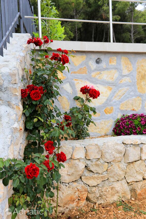 Giardino - Casa accanto al mare con piscina per famiglia Poljica, Traù - Trogir