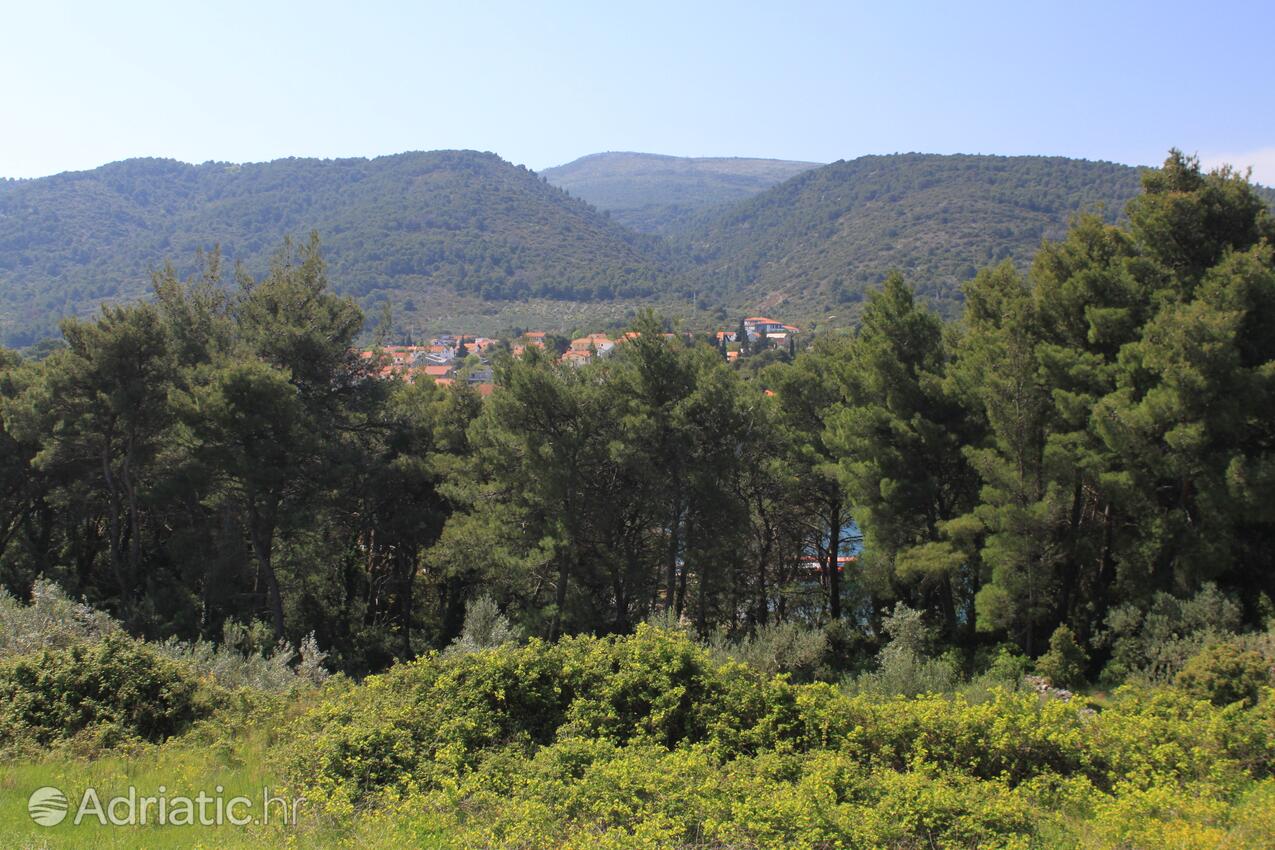 A-8686-a - Private accommodation - Apartments with a parking space Stari Grad, Hvar