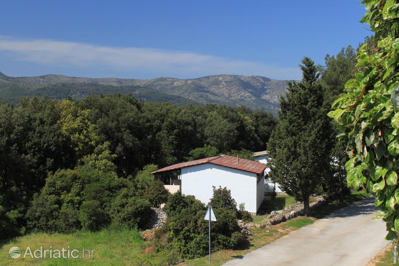 A-8686-a - Private accommodation - Apartments with a parking space Stari Grad, Hvar