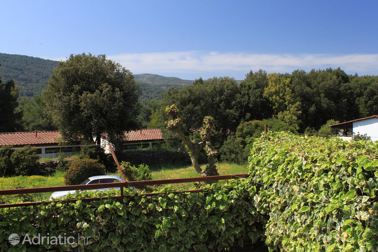 A-8686-b - Private accommodation - Apartments with a parking space Stari Grad, Hvar