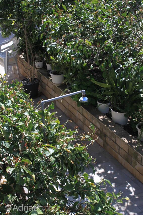 Courtyard - Apartments with a parking space Stari Grad, Hvar