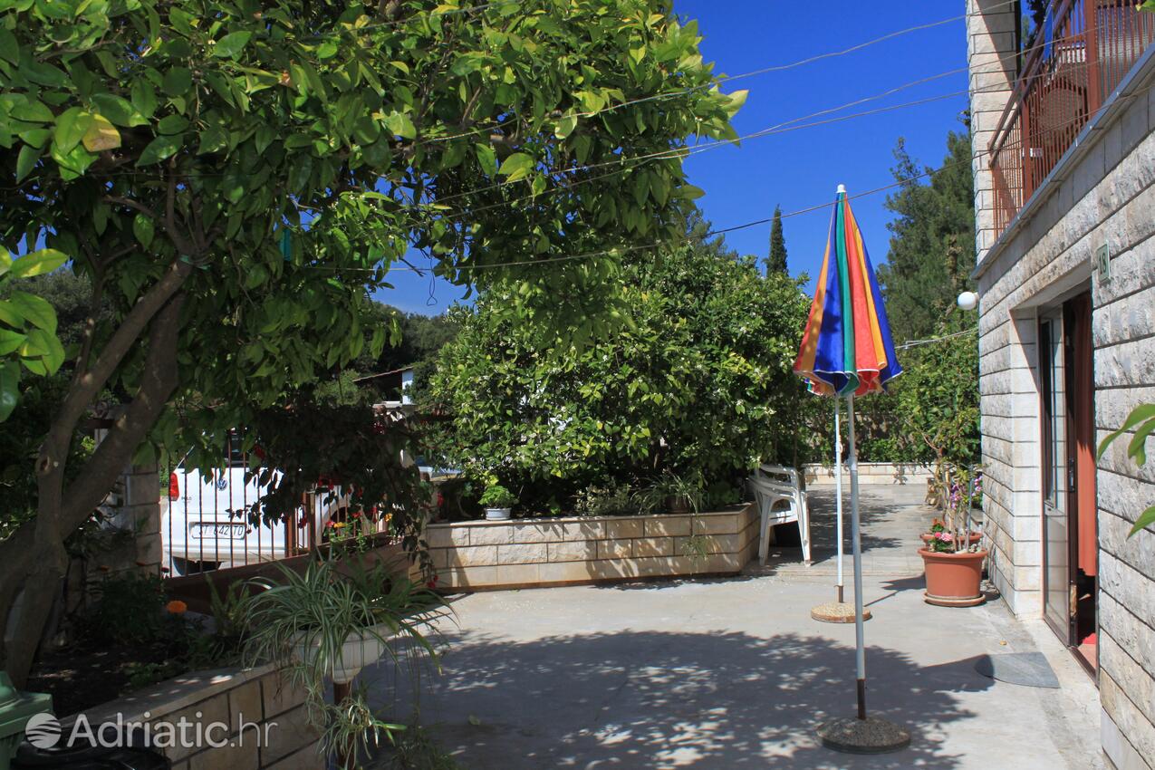 Courtyard - Apartments with a parking space Stari Grad, Hvar