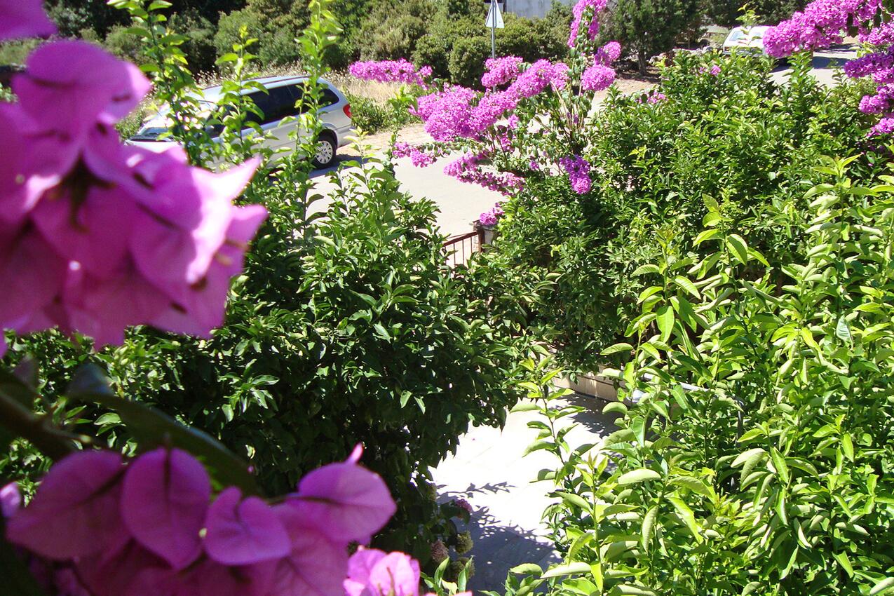 Courtyard - Apartments with a parking space Stari Grad, Hvar