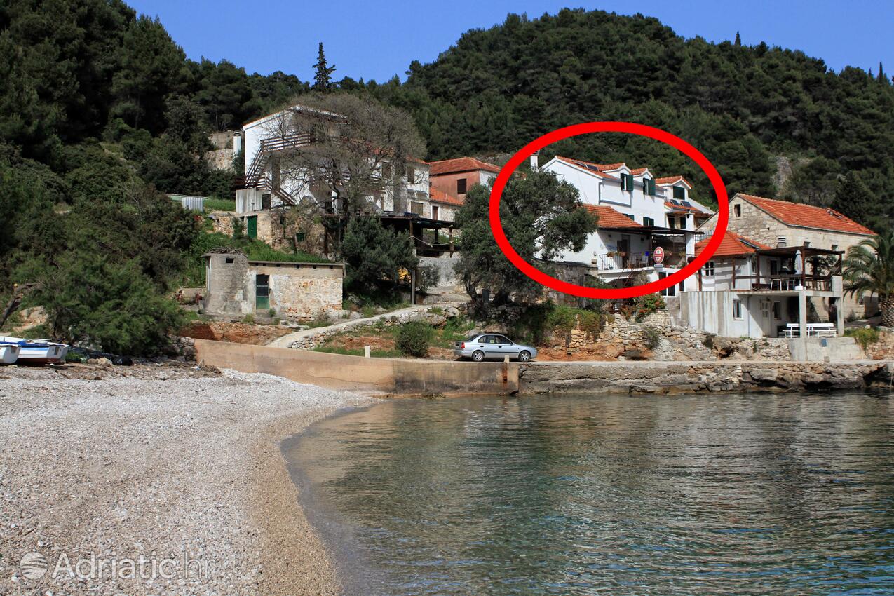 Robinzonské apartmány pri mori Zátoka Tvrdni Dolac, Hvar - 8703