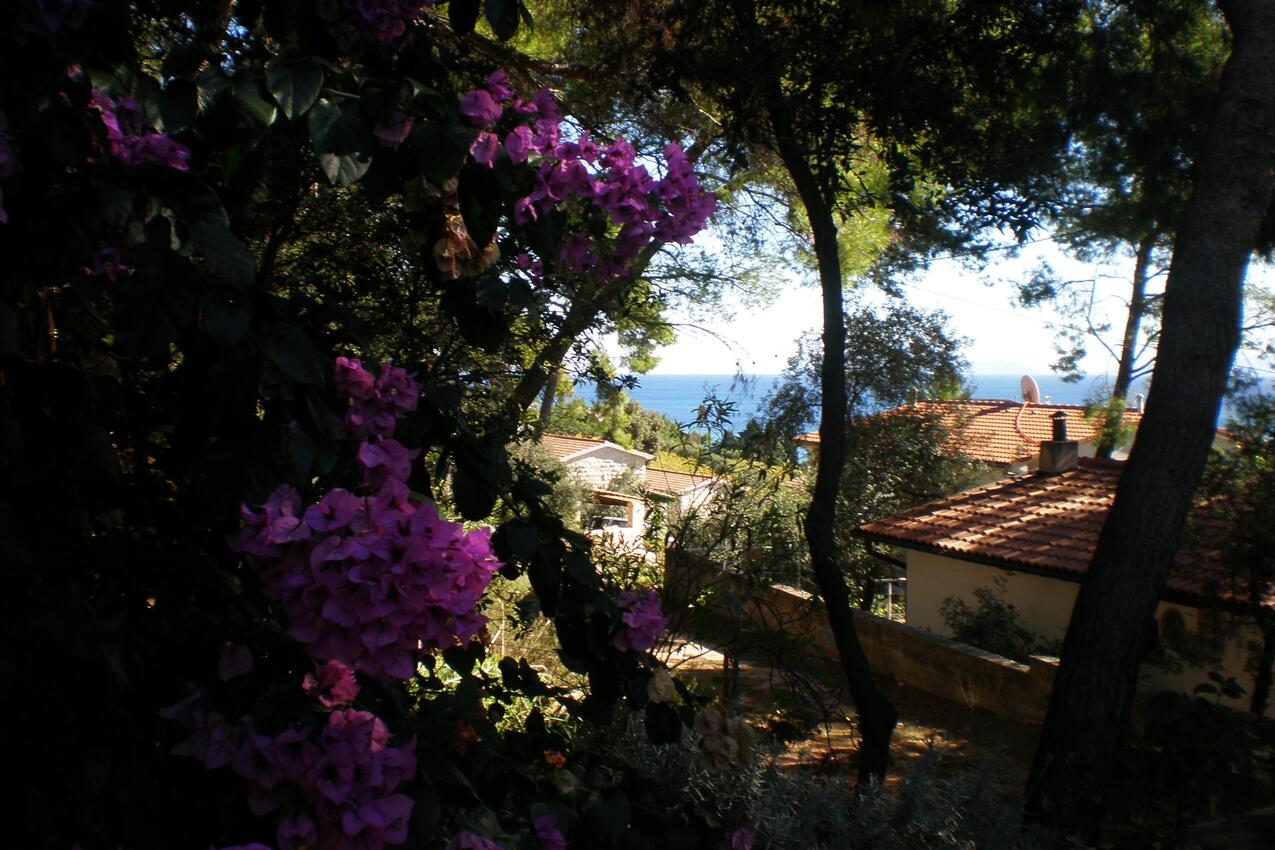 Ferienwohnungen mit Parkplatz Zavala, Hvar - 8710