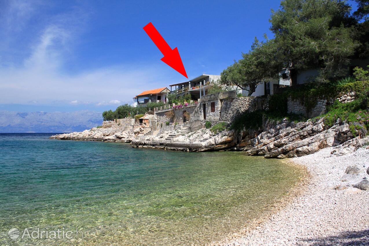 Apartments by the sea Cove Zarace (Gdinj), Hvar - 8712