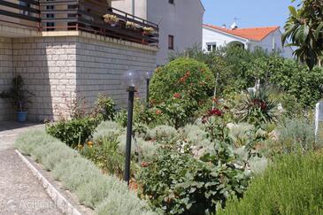 Apartments with parking space Sali, Dugi otok - 872