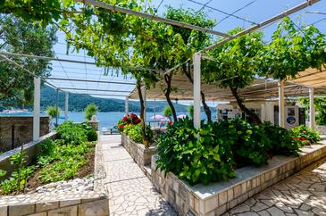 Apartments and rooms by the sea Slano, Dubrovnik - 8737