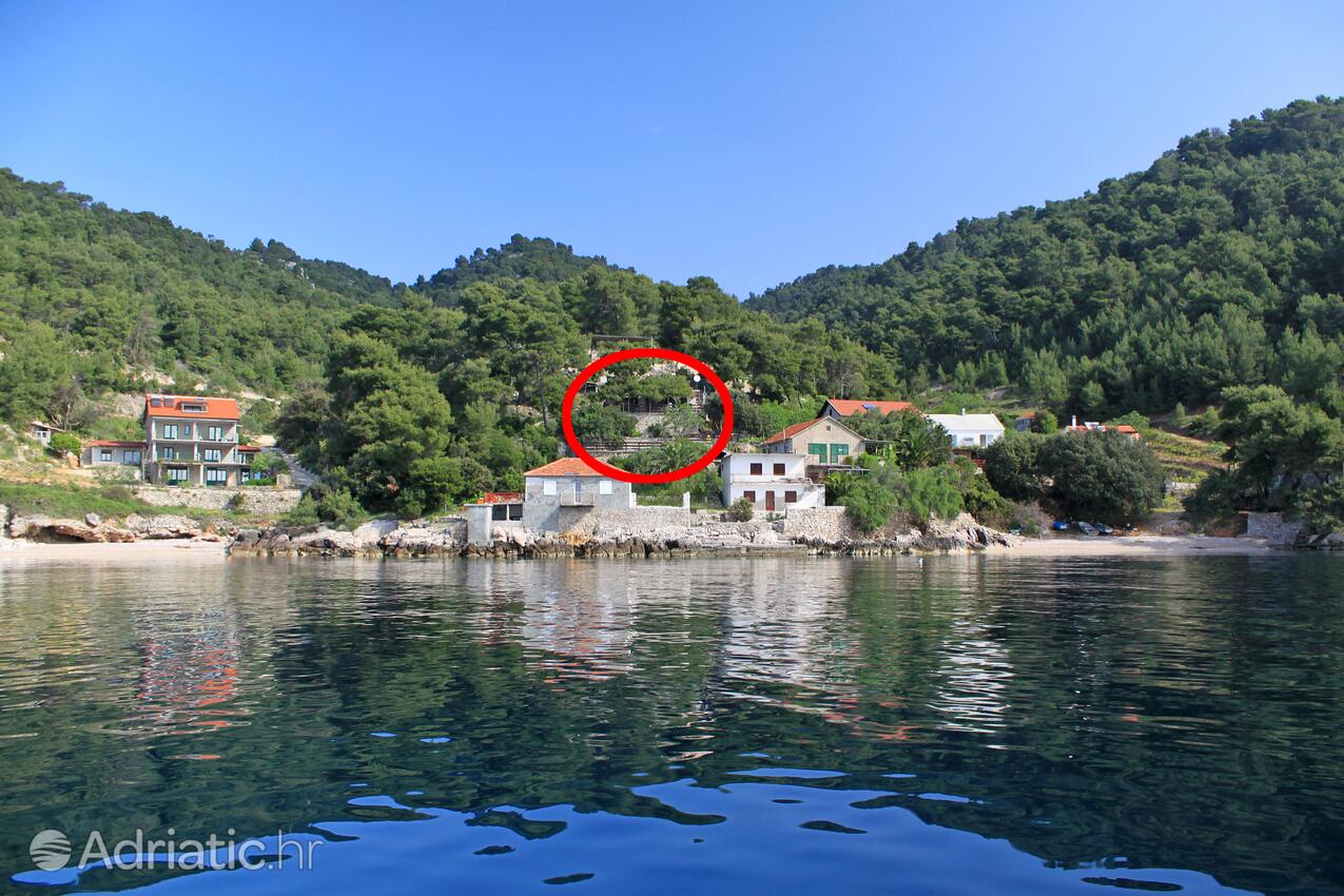 Robinzonski apartmani uz more Uvala Rapak, Hvar - 8766