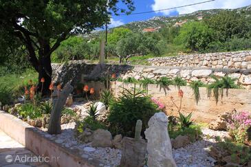 Apartmani i sobe uz more Zavala, Hvar - 8784