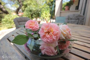 Ferienwohnungen am Meer Cavtat, Dubrovnik - 8827
