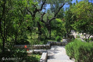 Ferienwohnungen am Meer Cavtat, Dubrovnik - 8827