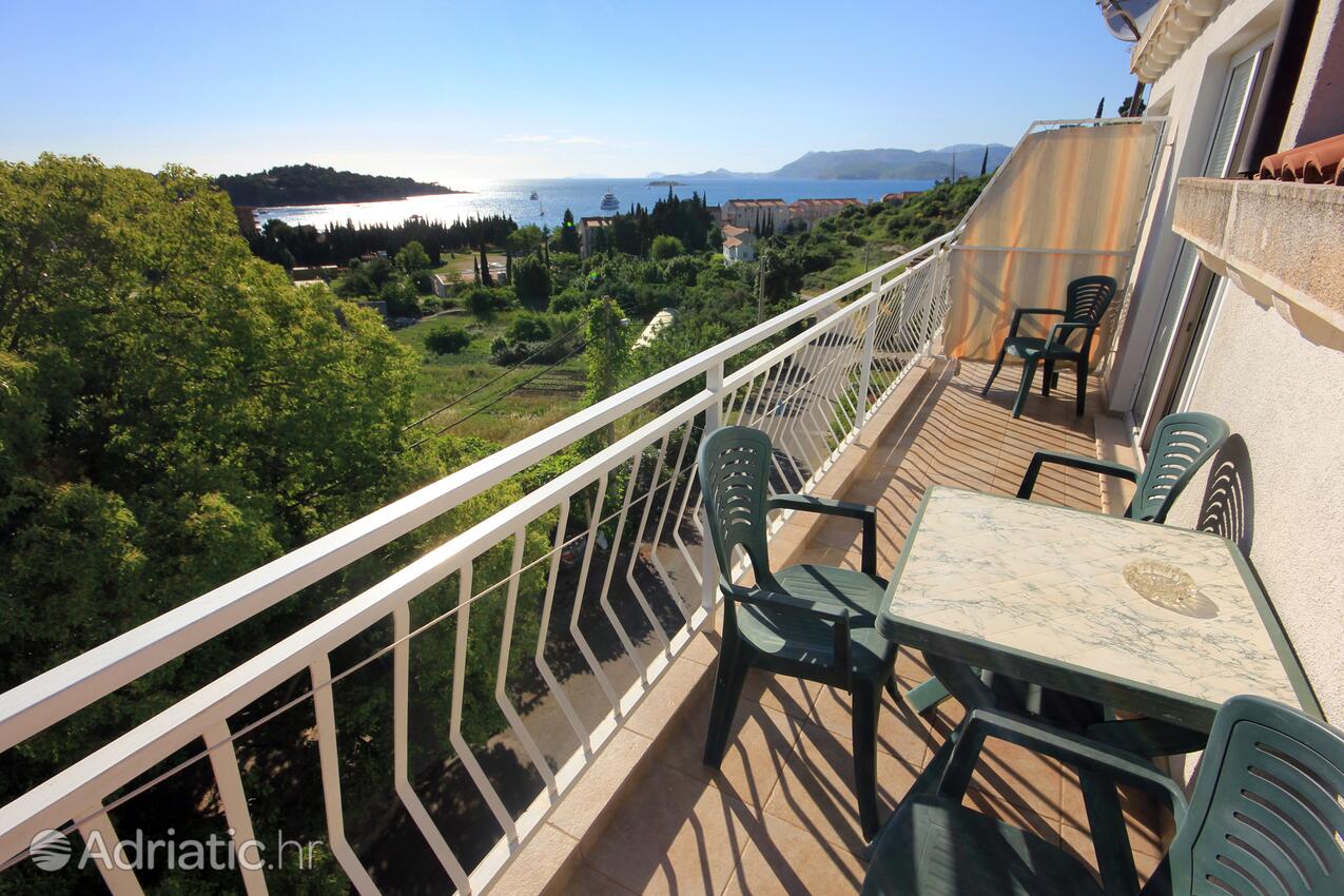 Appartementen met zwembad Cavtat, Dubrovnik - 8829