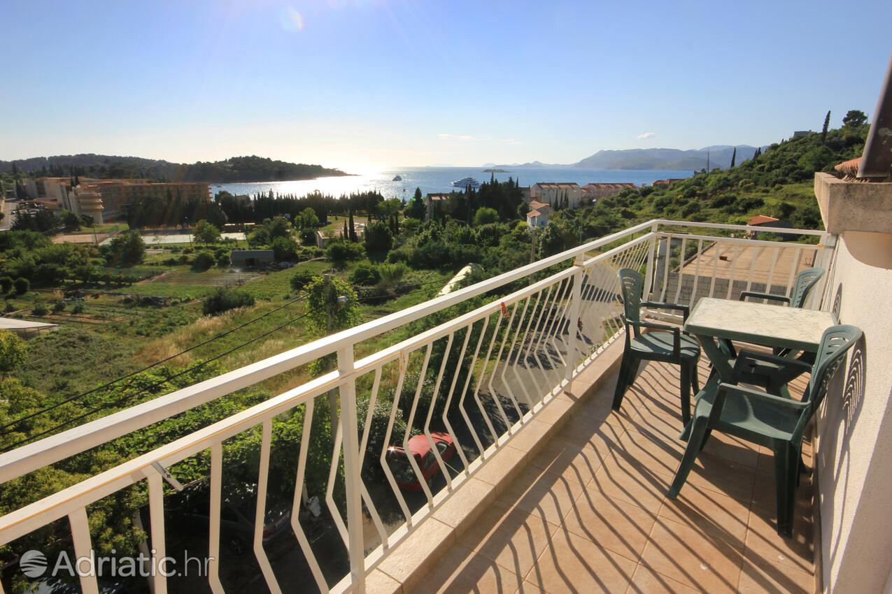 Apartamentos con piscina Cavtat, Dubrovnik - 8829
