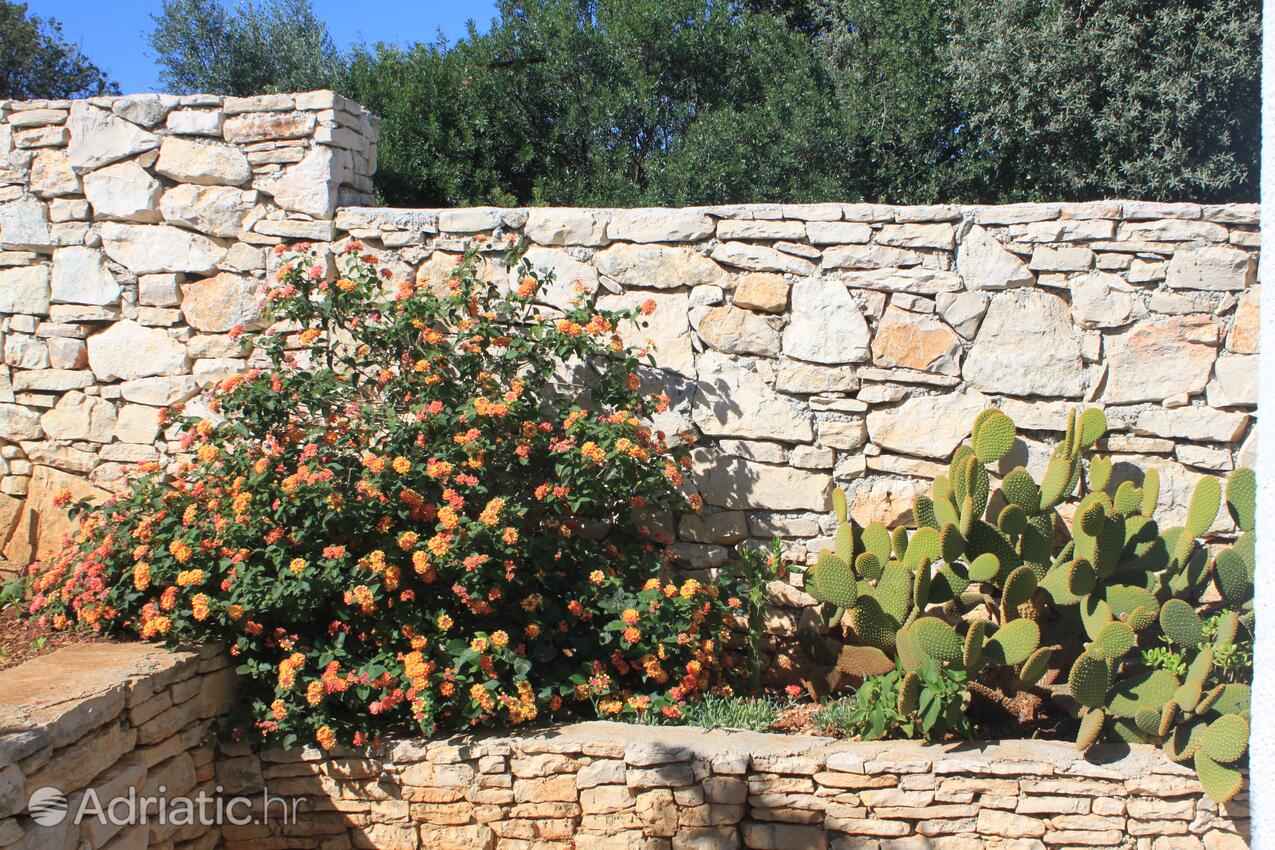 Giardino - Appartamenti con parcheggio Rukavac, Lissa - Vis
